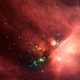 Image for article titled 300 Baby Stars In Our Nearest Star-Factory